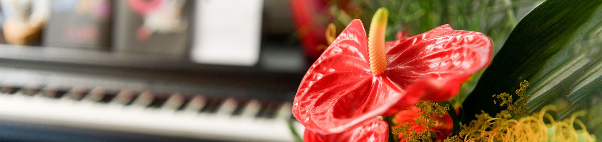 Bild von Blumen