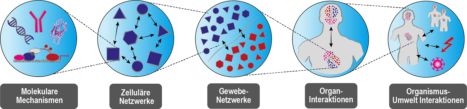Illustrationsgrafik der Analyseebenen