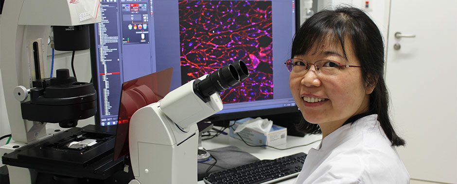 Frau Dr. Ruping Chen