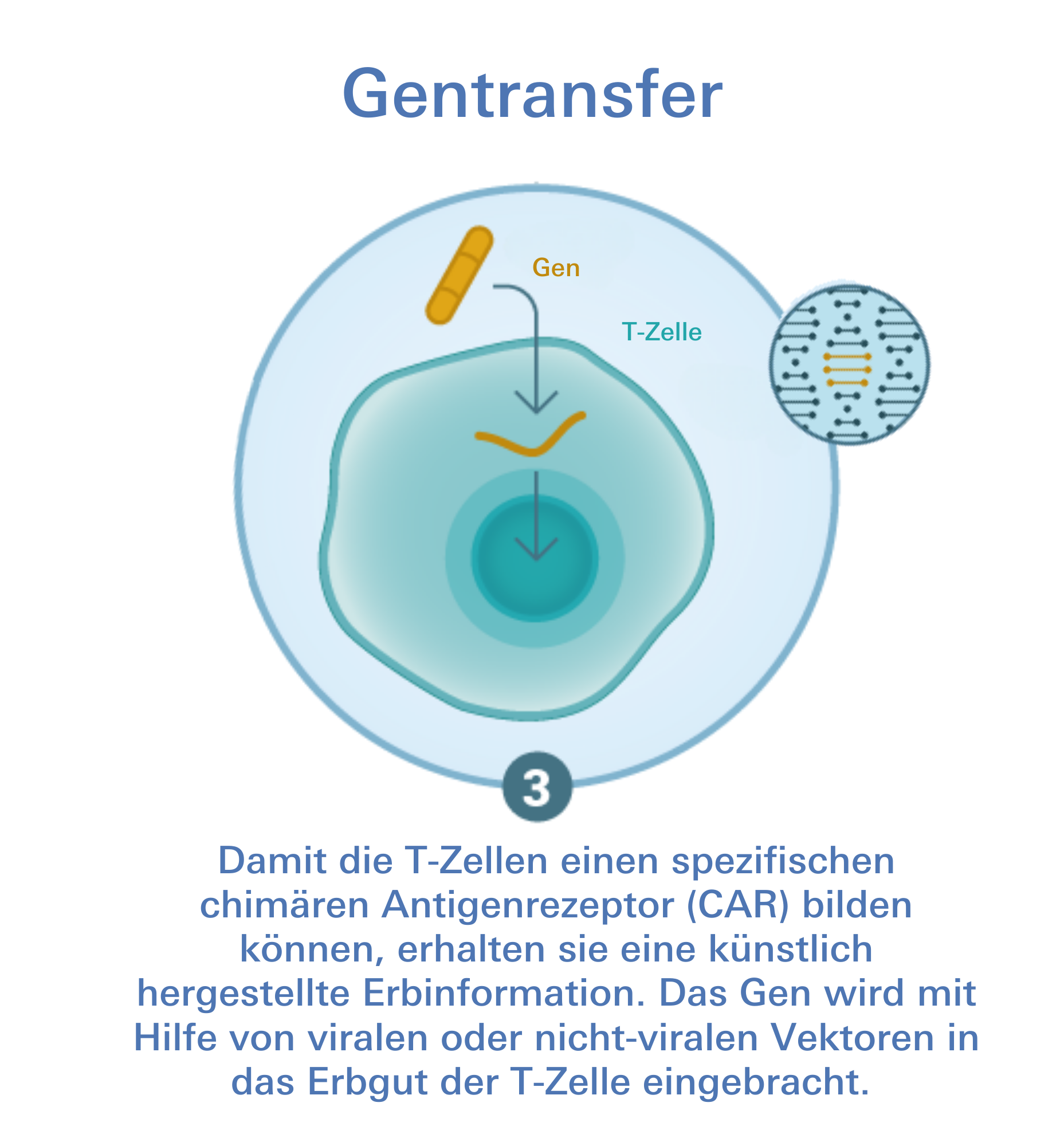 CAR-T-Zelltherapie Gentransfer