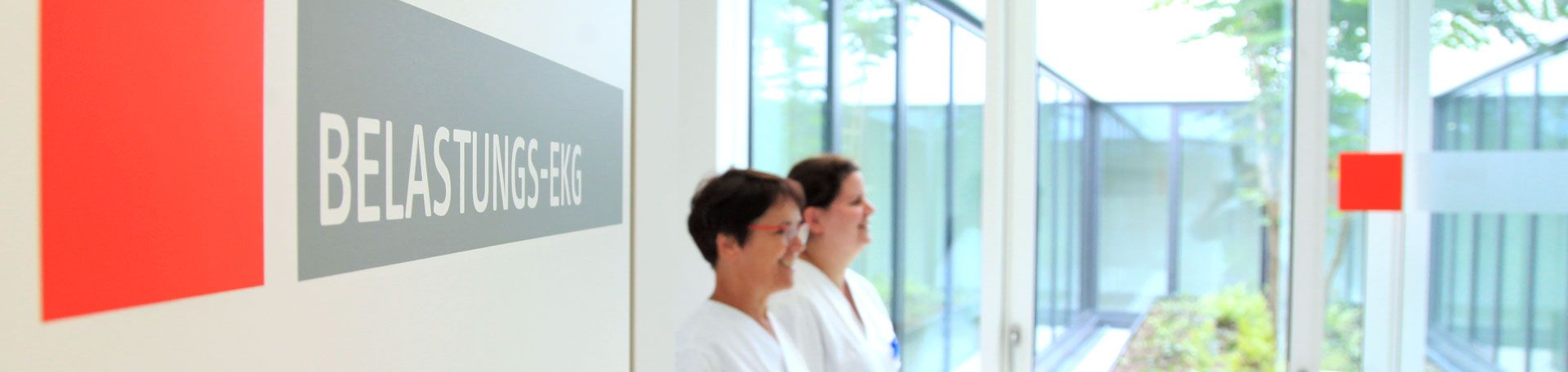Illustrationsbild Zentrum für Genetische Herz- und Gefäßerkrankungen