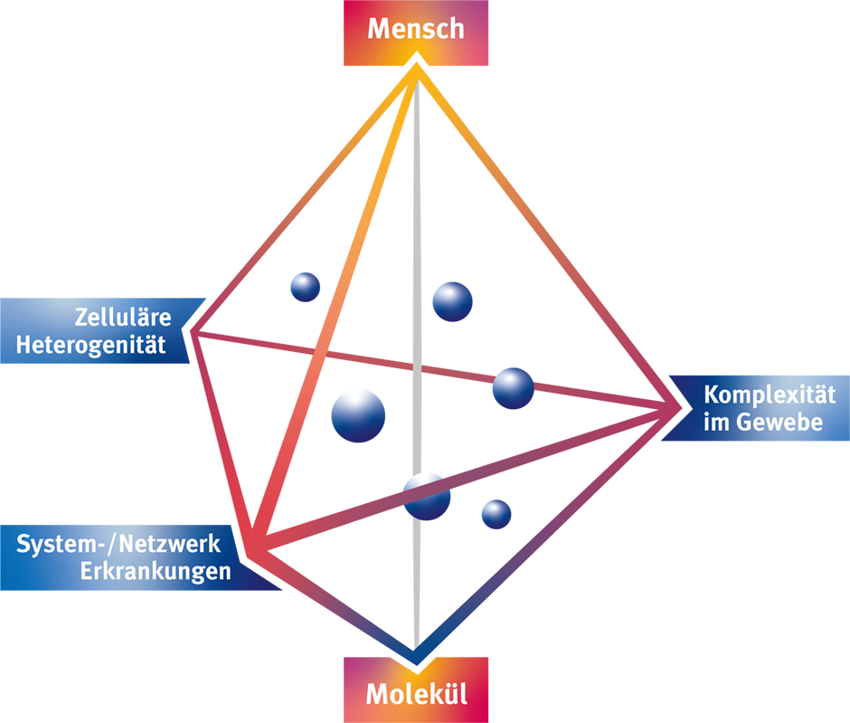 Illustration Forschungsprofil des UKW