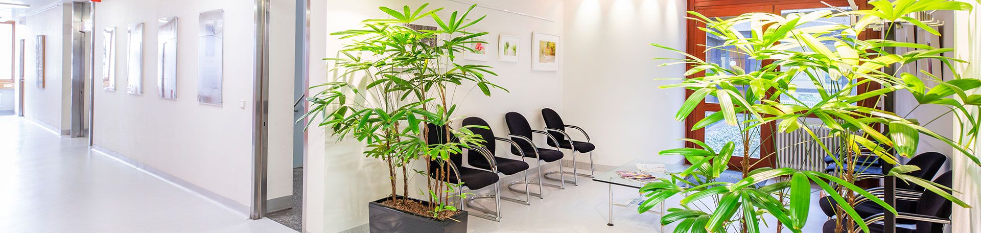 Ansicht des Flurs der Neurochirurgie Ansicht des Flurs der Neurochirurgie