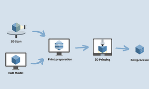 Image 3D Scanning and Printing