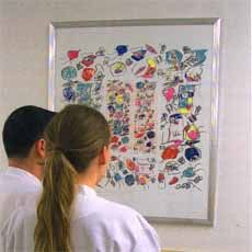 Kunst im Zentrum für Innere Medizin Ausstellung 2003 Künstlerin Constanze Hochmuth