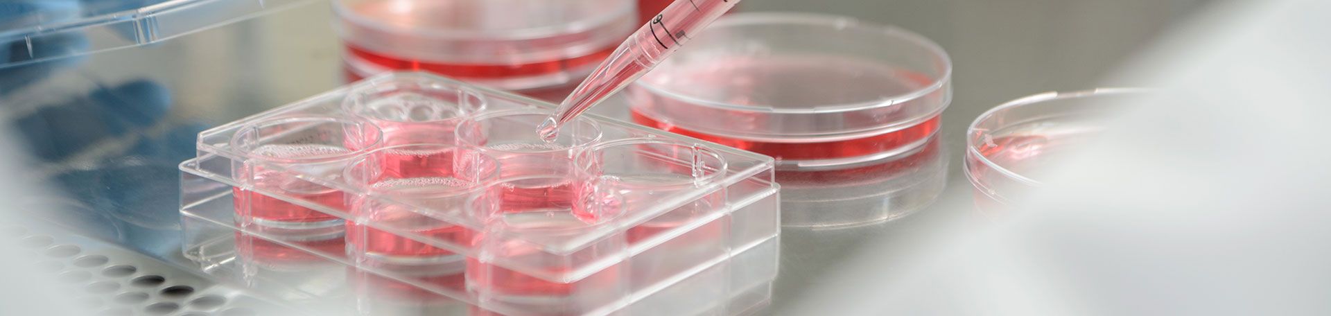 Illustrationsbild Experimentelle Biomedizin