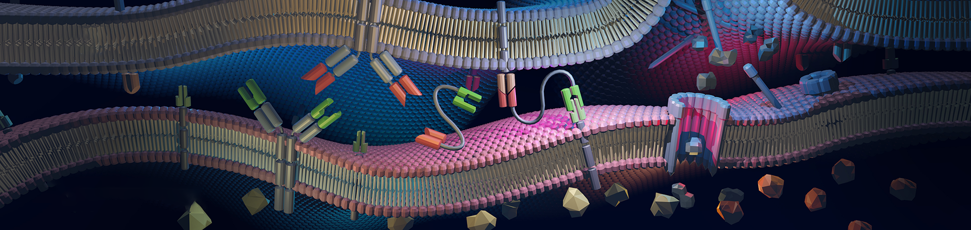Tumor cell Panorama-Bild Tumor cell Panorama-Bild