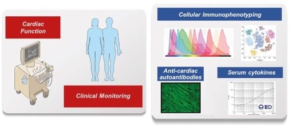 Grafische Zusammenfassung von Hypothese und Arbeitsplan des SFB-Projekts C5 Grafische Zusammenfassung von Hypothese und Arbeitsplan des SFB-Projekts C5