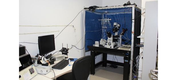 Illustration Patch-clamp set-up