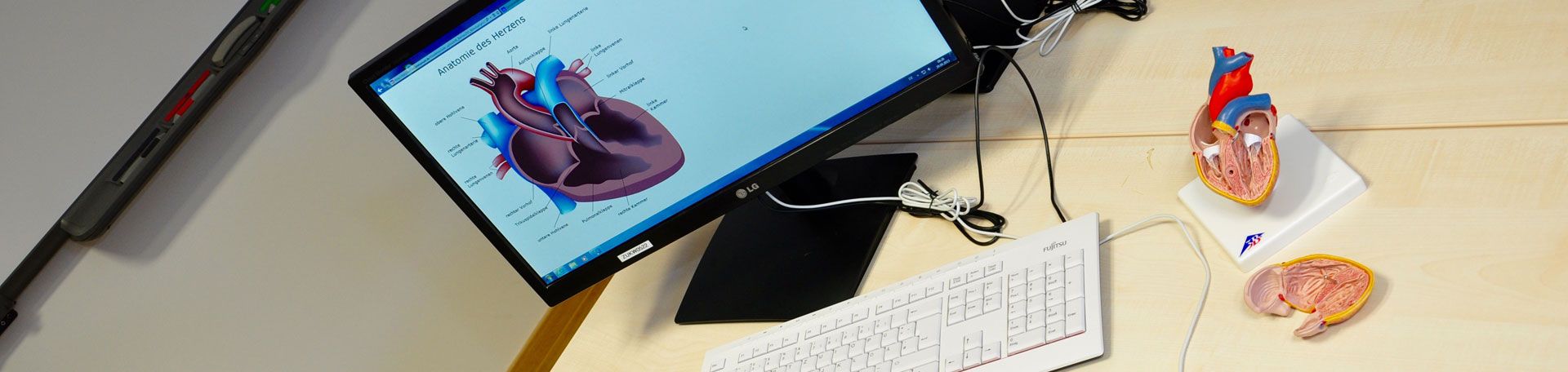 Ausbdilungsinhalte Illustrationsbild: Computer und Herzmodell auf Schreibtisch
