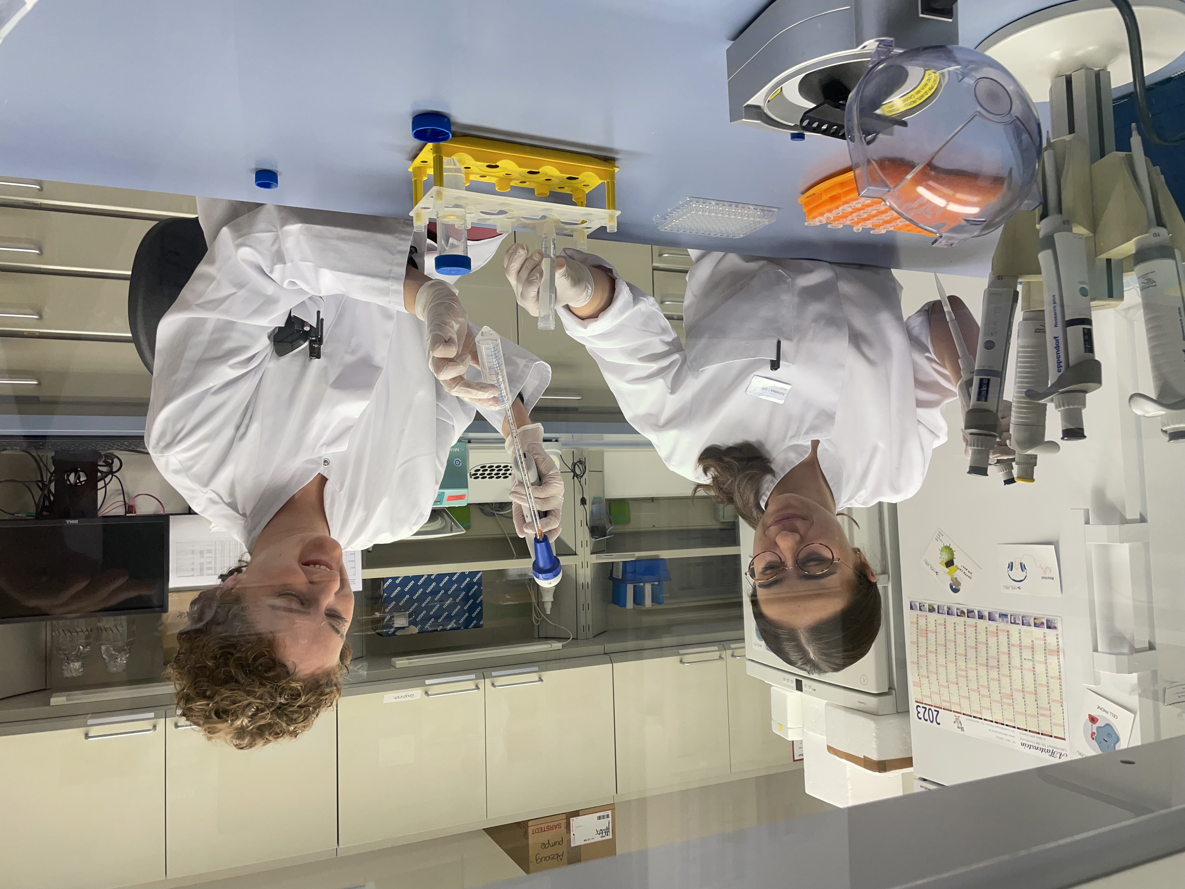 Die beiden Wissenschaftlerinnen sitzen mit weißen Kitteln im Labor und pipettieren.