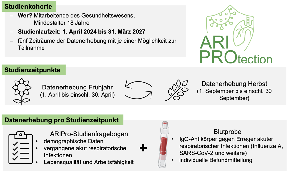 Studie ARIPro Aufbau der Studie ARIPro - Grafik