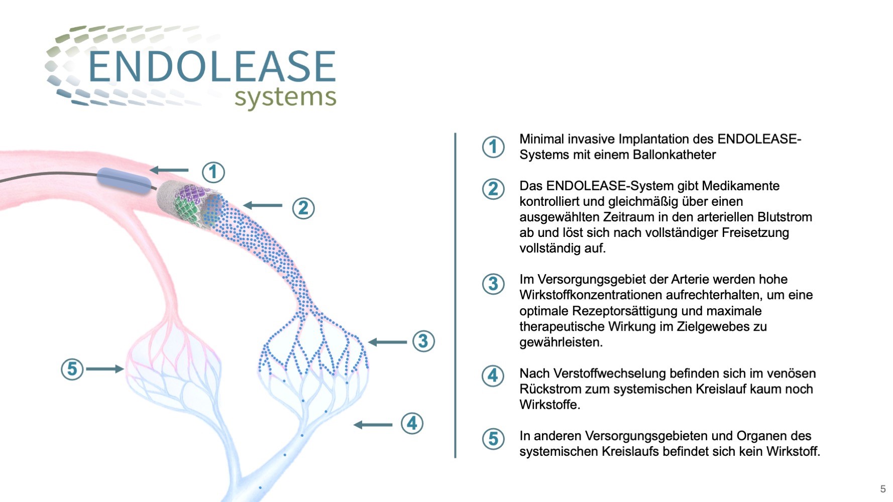 Die Grafik zeigt, wie das ENDOLEASE System mittels Ballonkatheter in die Arterie gesetzt wird, die Wirkstoffe in den Arterie abgibt und sich im Kapillarsystem verteilt. 
